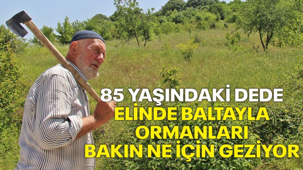Yaşı 85, elinde baltasıyla ormanları bakın ne için geziyor