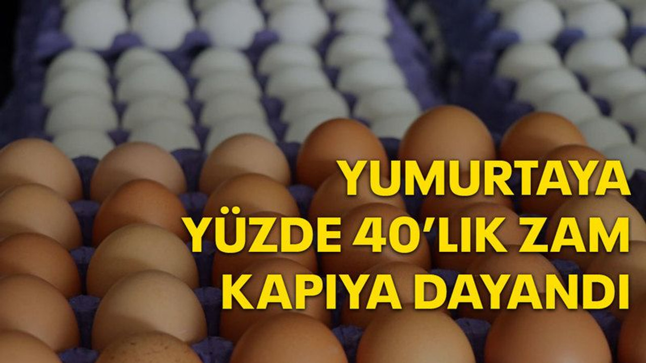 Yumurtaya yüzde 40'lık zam kapıya dayandı!