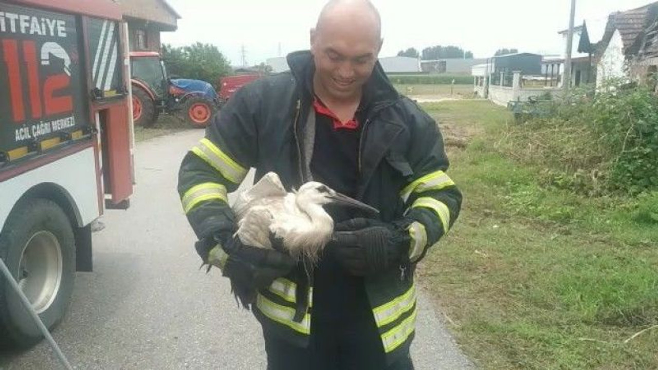 Leyleğin imdadına itfaiye ekipleri koştu