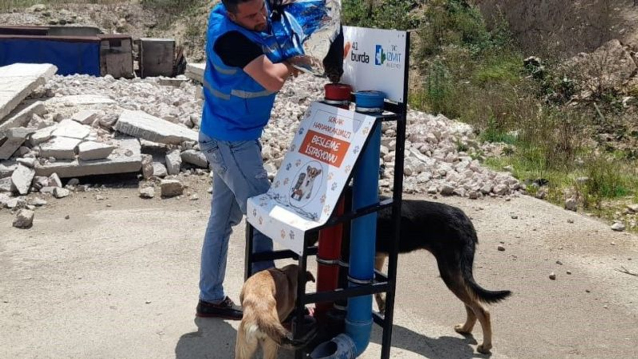 Yiyecek bulmakta zorlanan hayvanlar için mama bırakılıyor