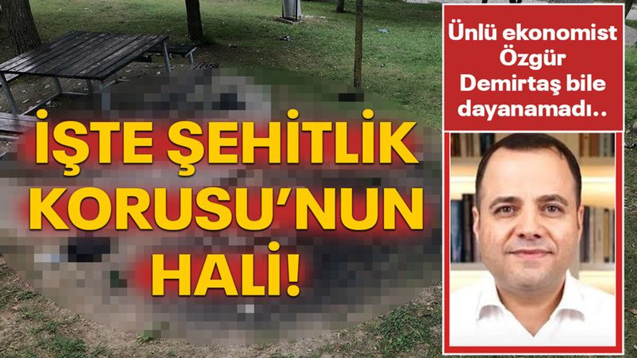 Özgür Demirtaş bile dayanamadı... İşte Şehitlik Korusu’nun hali!