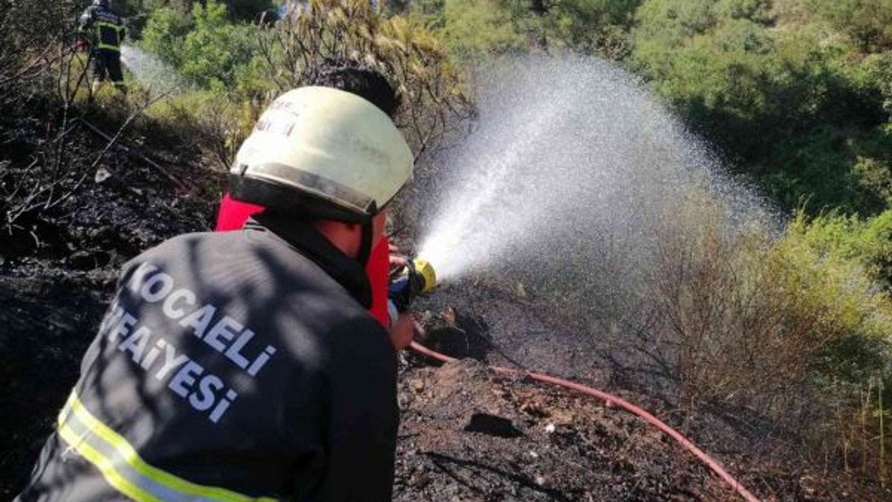 Kocaeli’de ormanlık alanda yangın çıktı