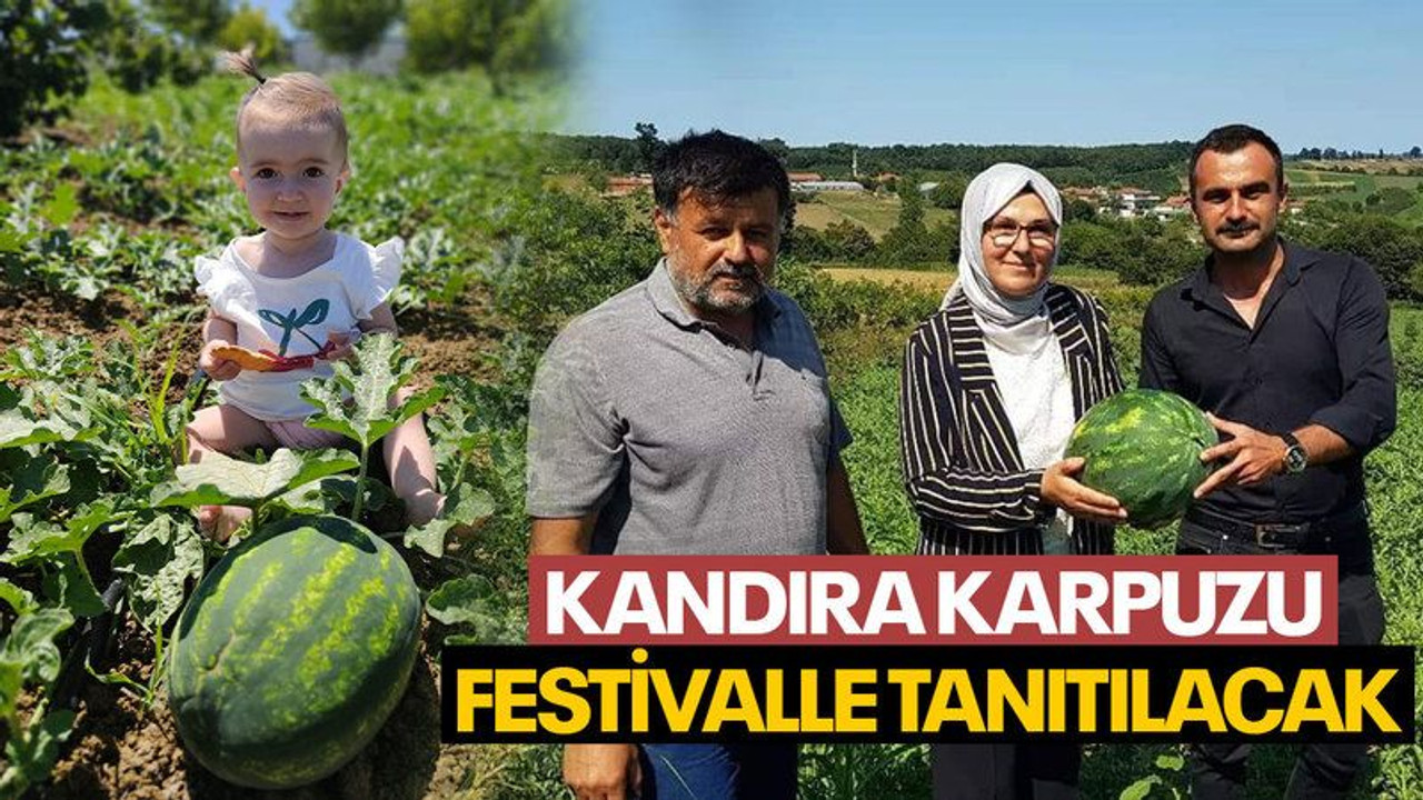Kandıra karpuzu festivalle tanıtılacak