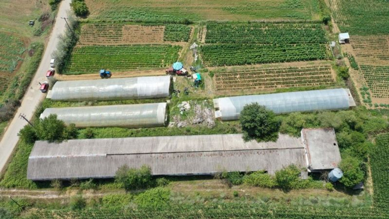 Üreticilere yüzde 50 hibeli sera desteği