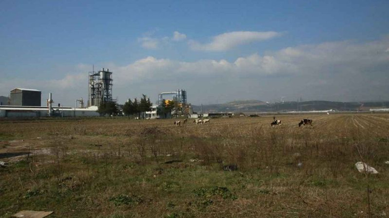 Yıldız Demir Çelik, Kartepe'de yapacağı yeni fabrika için rapor hazırladı