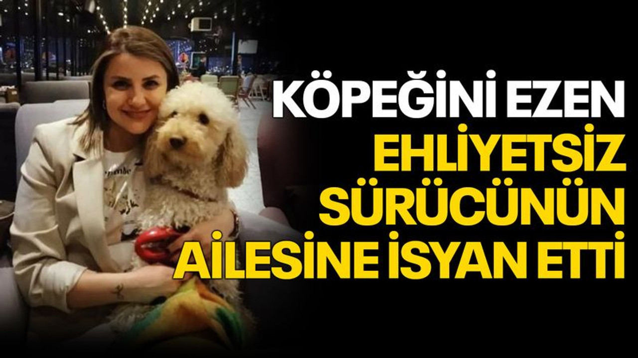 Köpeğini ezen ehliyetsiz sürücünün ailesine isyan etti