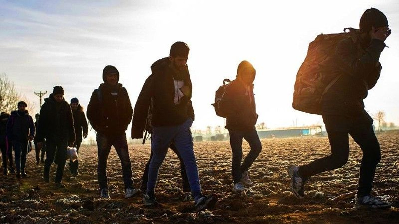 223 düzensiz göçmen geri gönderildi