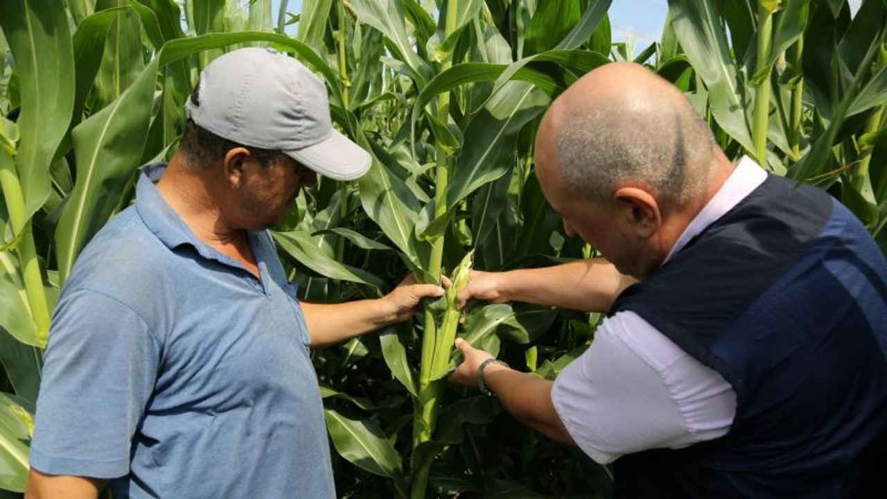 ''Büyükşehir'in tarıma desteği ilaç gibi geldi''