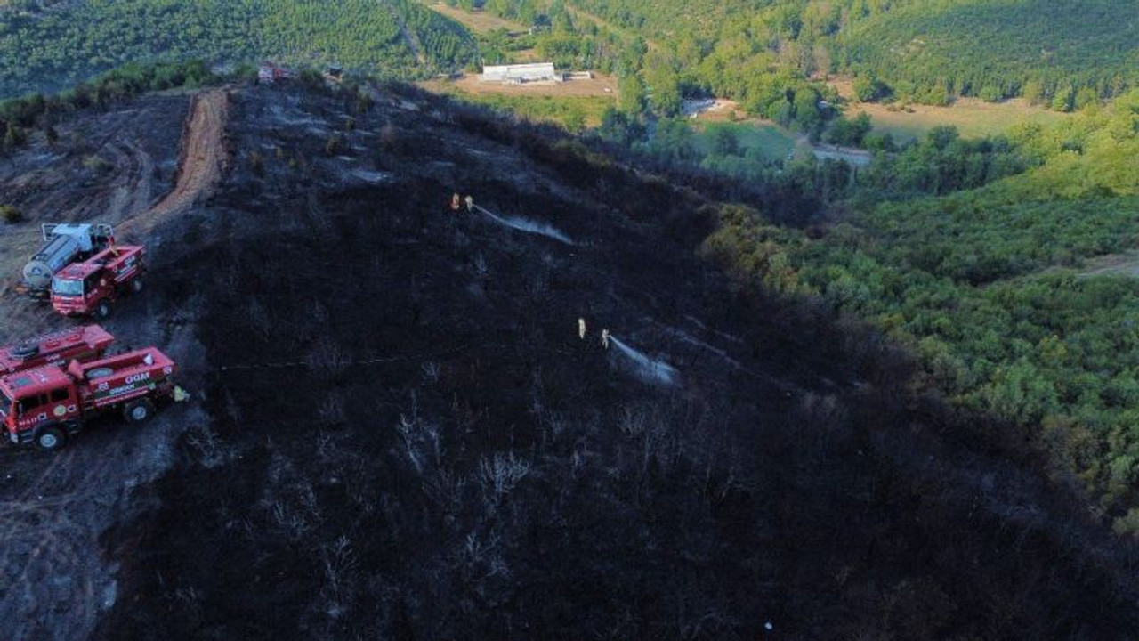 Kocaeli’de ormanlık alanda yangın çıktı, 4 hektar alan küle döndü