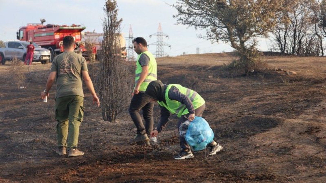 Gönüllüler, yanan ormanlık alandaki çöpleri topladı