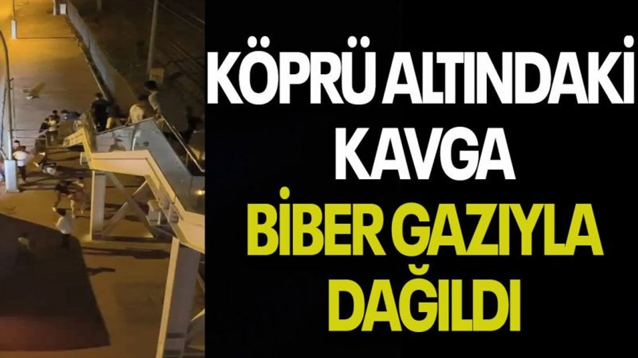 Köprü altındaki kavga biber gazıyla dağıldı
