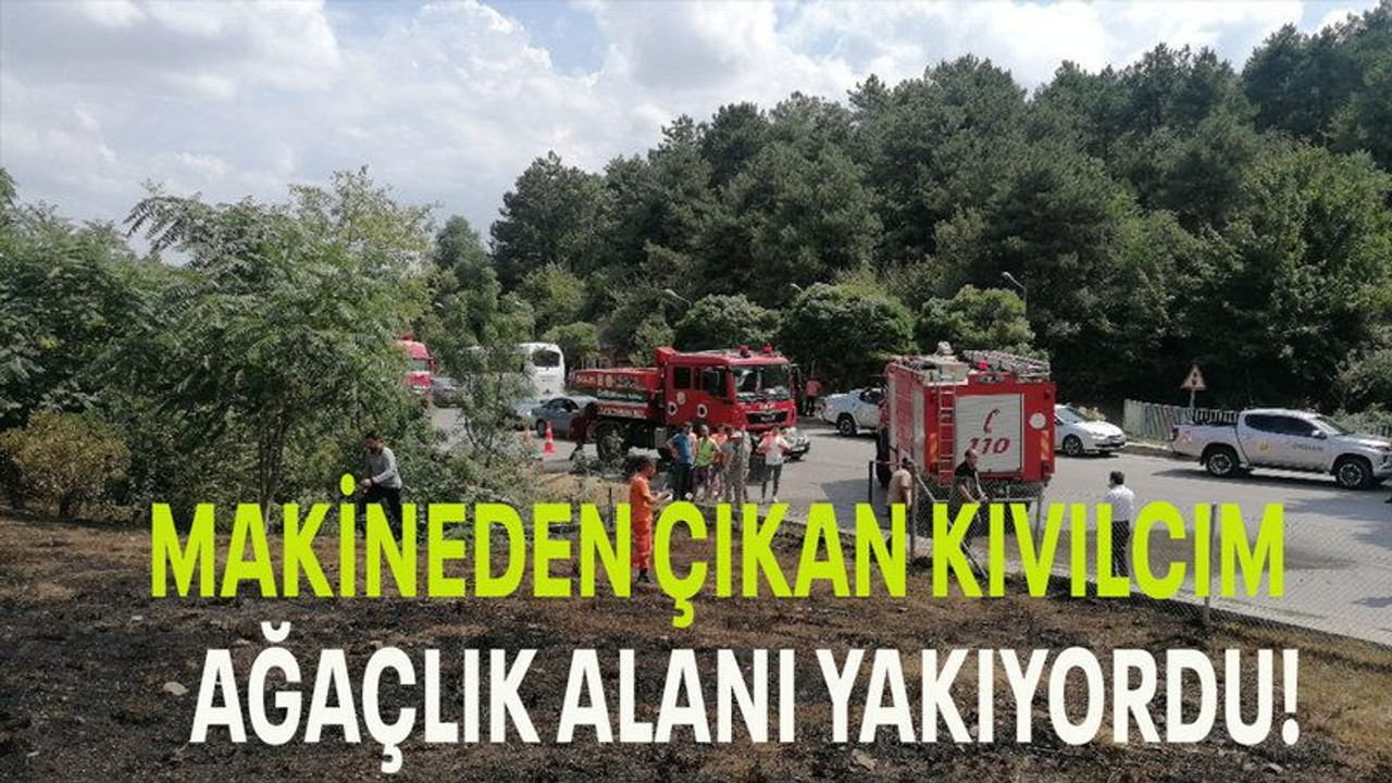 Makineden çıkan kıvılcım ağaçlık alanı yakıyordu!