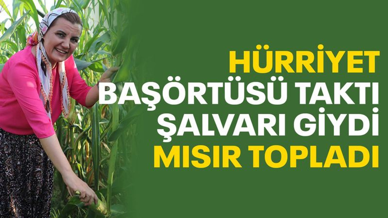 Hürriyet, başörtüsü taktı, şalvarı giydi, mısır topladı
