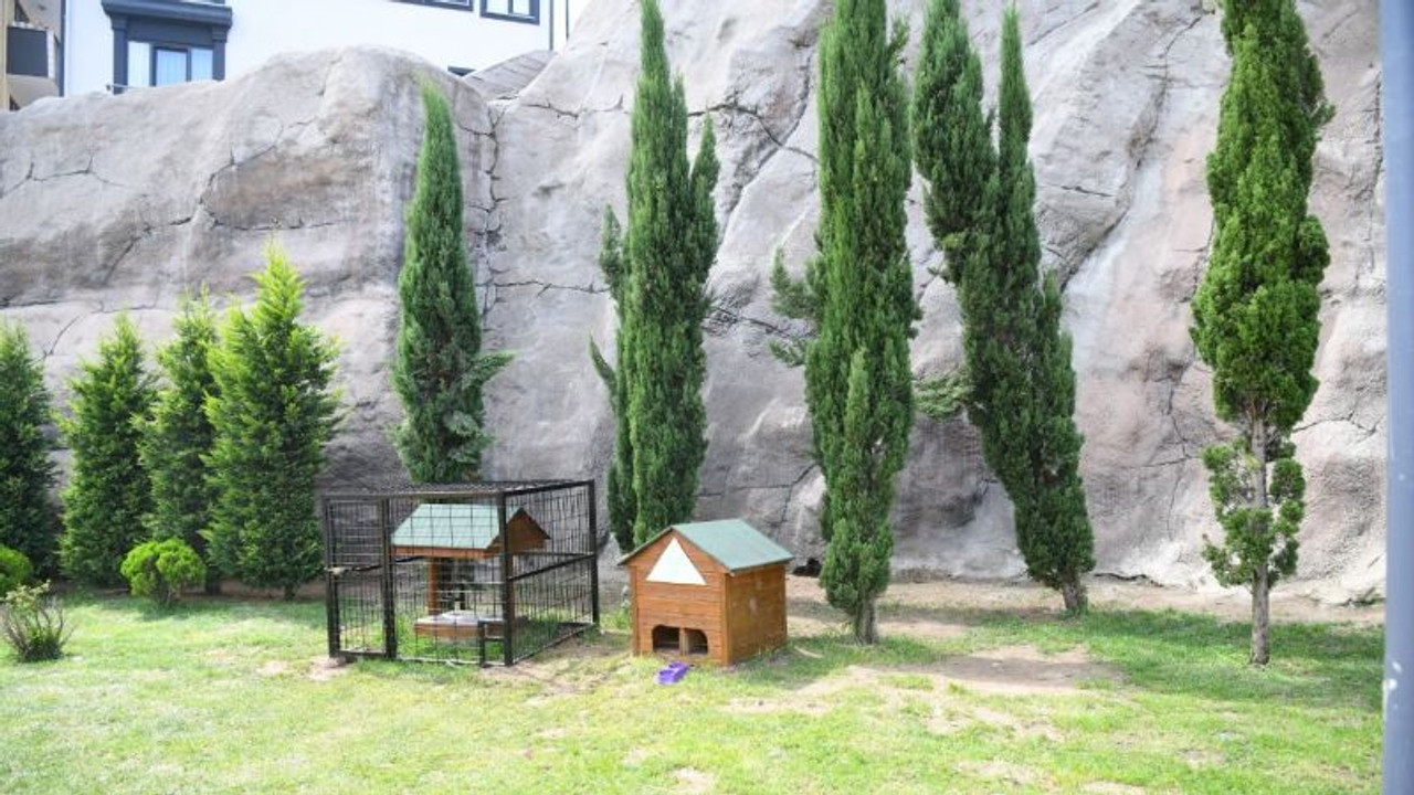 Çayırovası'ndan kedi evlerine kafes uygulaması