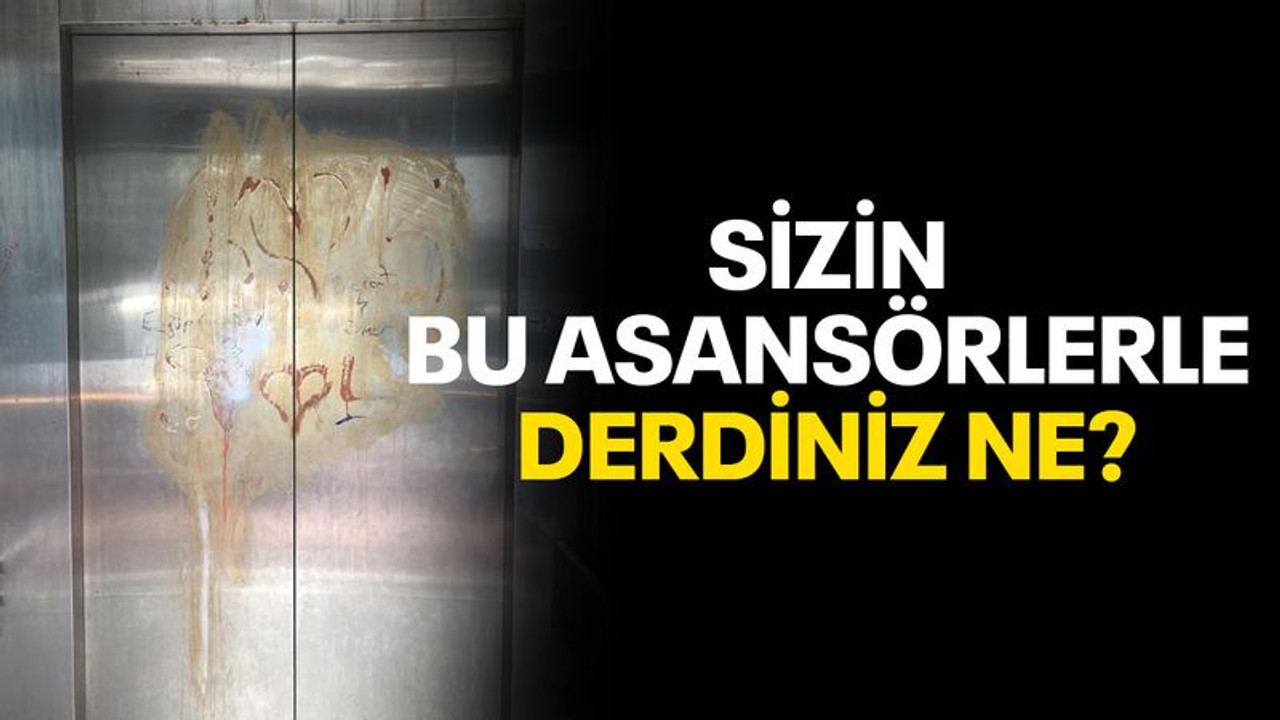 Sizin bu asansörlerle derdiniz ne?