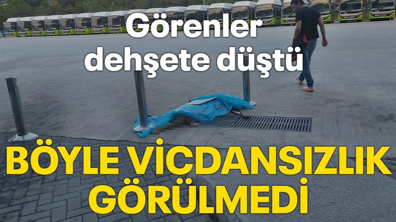 İzmit Otogarında dehşete düşüren olay!