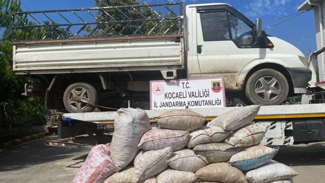 Kocaeli' de fındık hırsızları suç üstü yakalandı!
