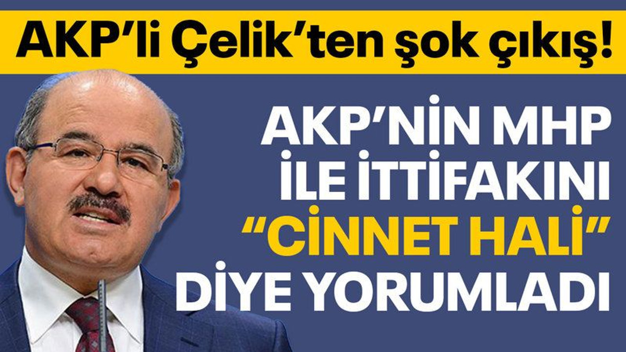 AKP’nin MHP ile ittifakını “Cinnet hali” diye yorumladı