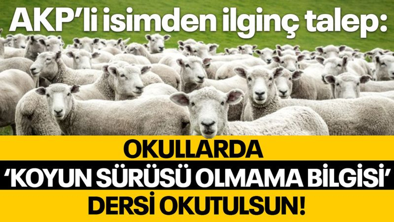 AKP’li isim: Okullarda ‘Koyun sürüsü olmama bilgisi’ dersi okutulsun!”