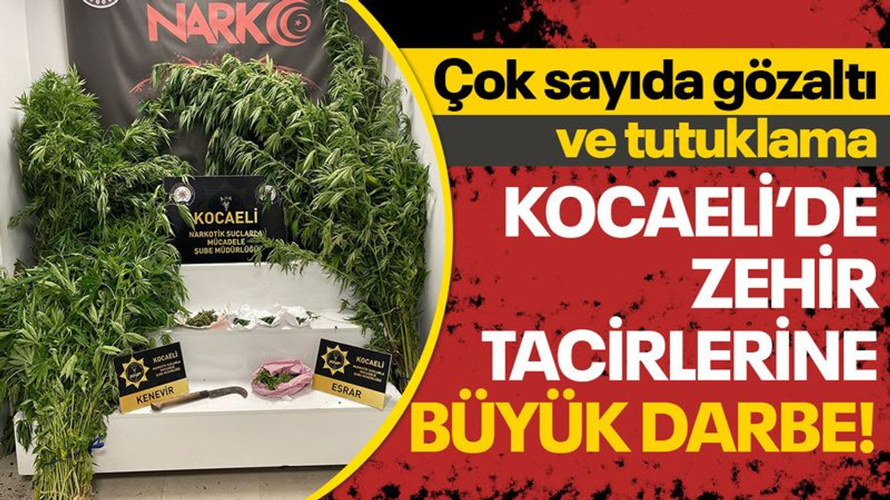 Kocaeli'de zehir tacirlerine büyük darbe, çok sayıda gözaltı ve tutuklama var!