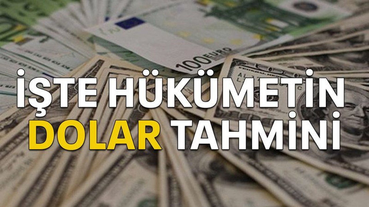 İşte hükümetin dolar tahmini