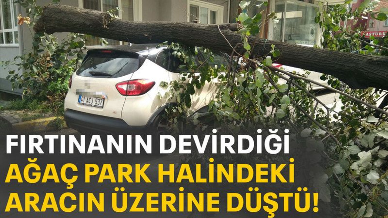 Fırtınanın devirdiği ağaç, park halindeki aracın üzerine düştü!
