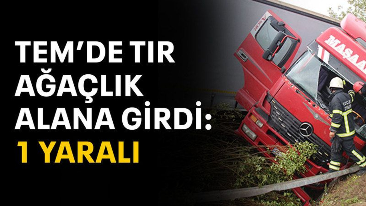 TEM’de tır ağaçlık alana girdi: 1 yaralı