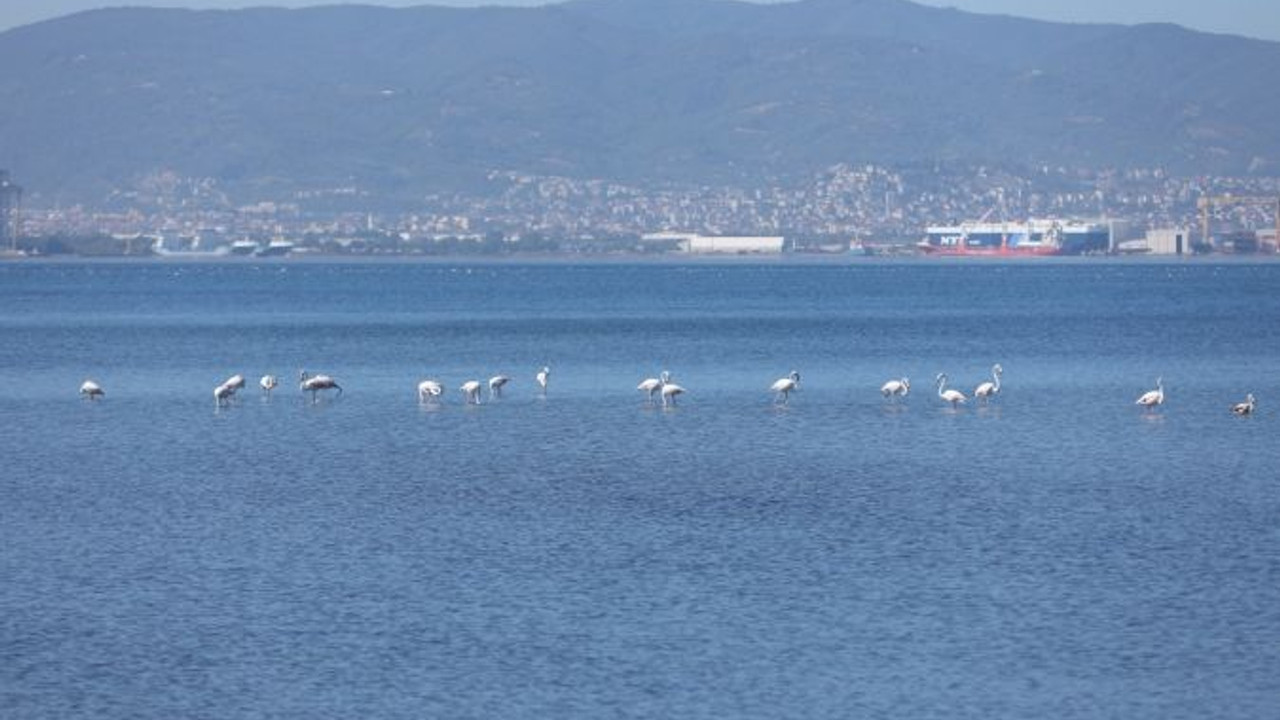 İzmit Körfezi'nin manzarası hayran bıraktı