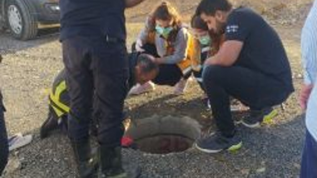 Çukura düştü, 2 saat çıkamadı!
