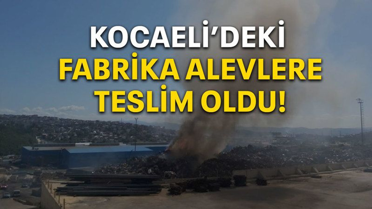 Kocaeli'deki fabrika alevlere teslim oldu!