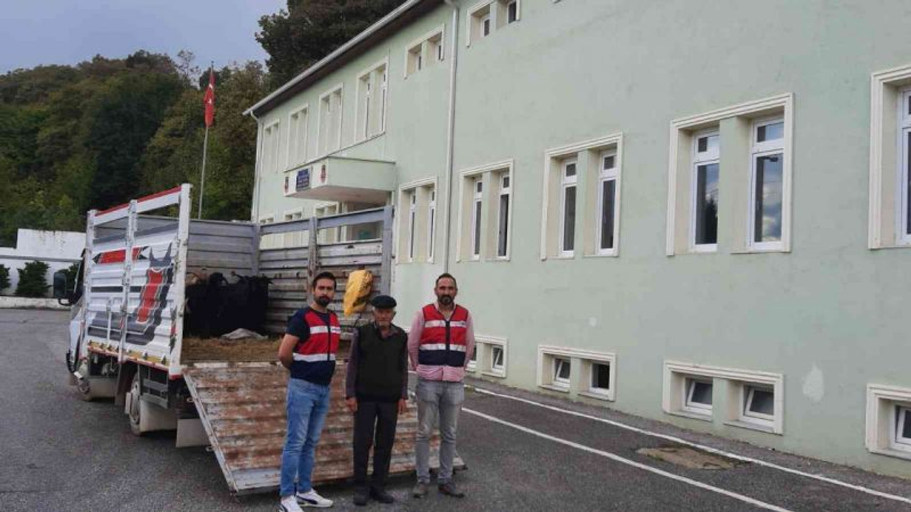 Sahte paralarla 7 keçi satın aldılar!