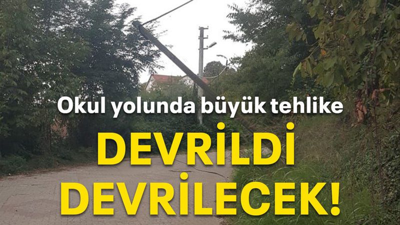 Okul yolunda büyük tehlike Devrildi devrilecek!