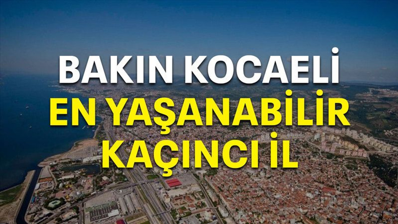Bakın Kocaeli en yaşanabilir kaçıncı il?