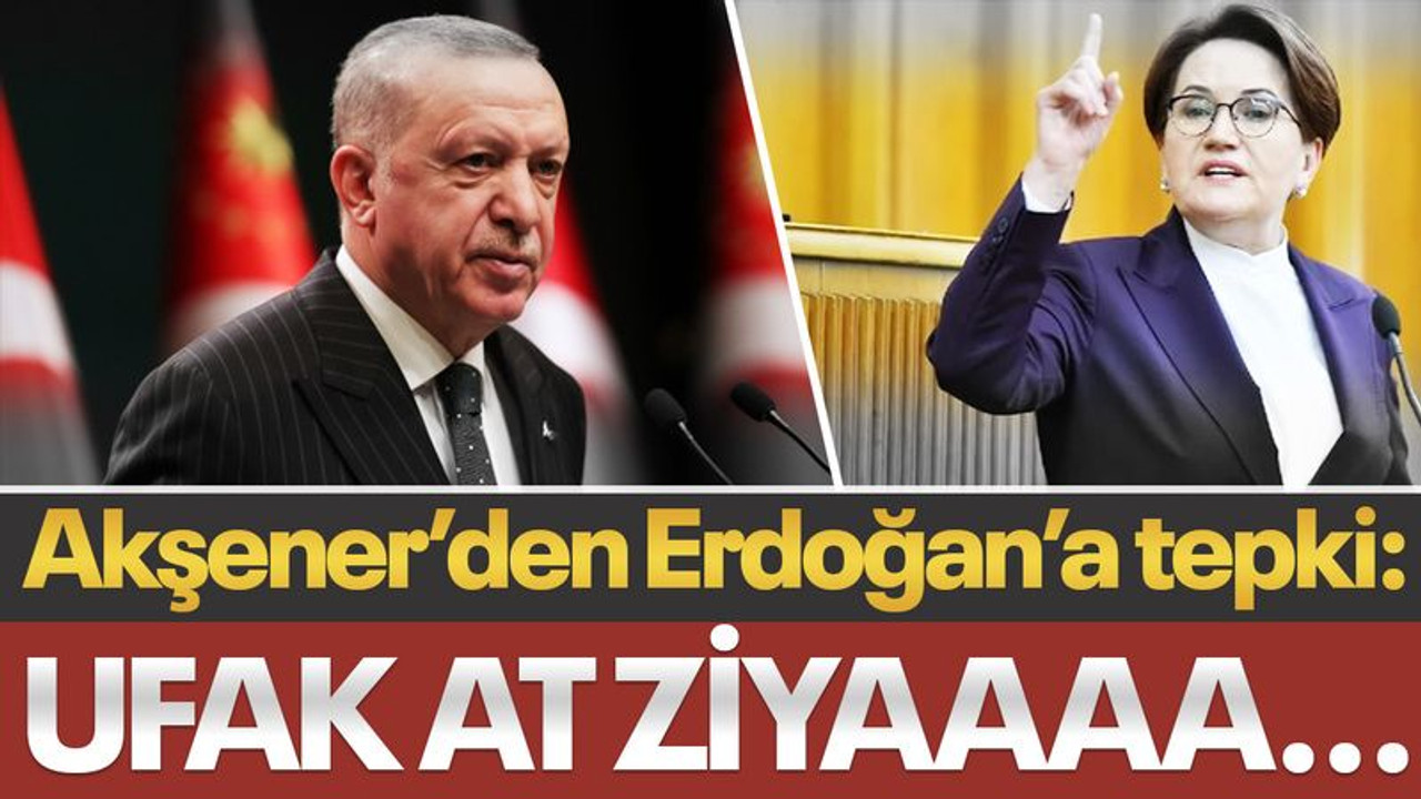 Meral Akşener’den Erdoğan’a tepki: Ufak at Ziyaaaa...