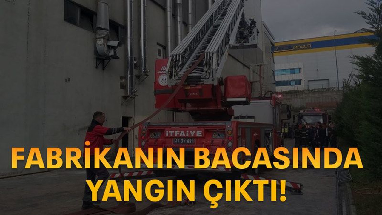 Fabrikanın bacasında yangın çıktı!