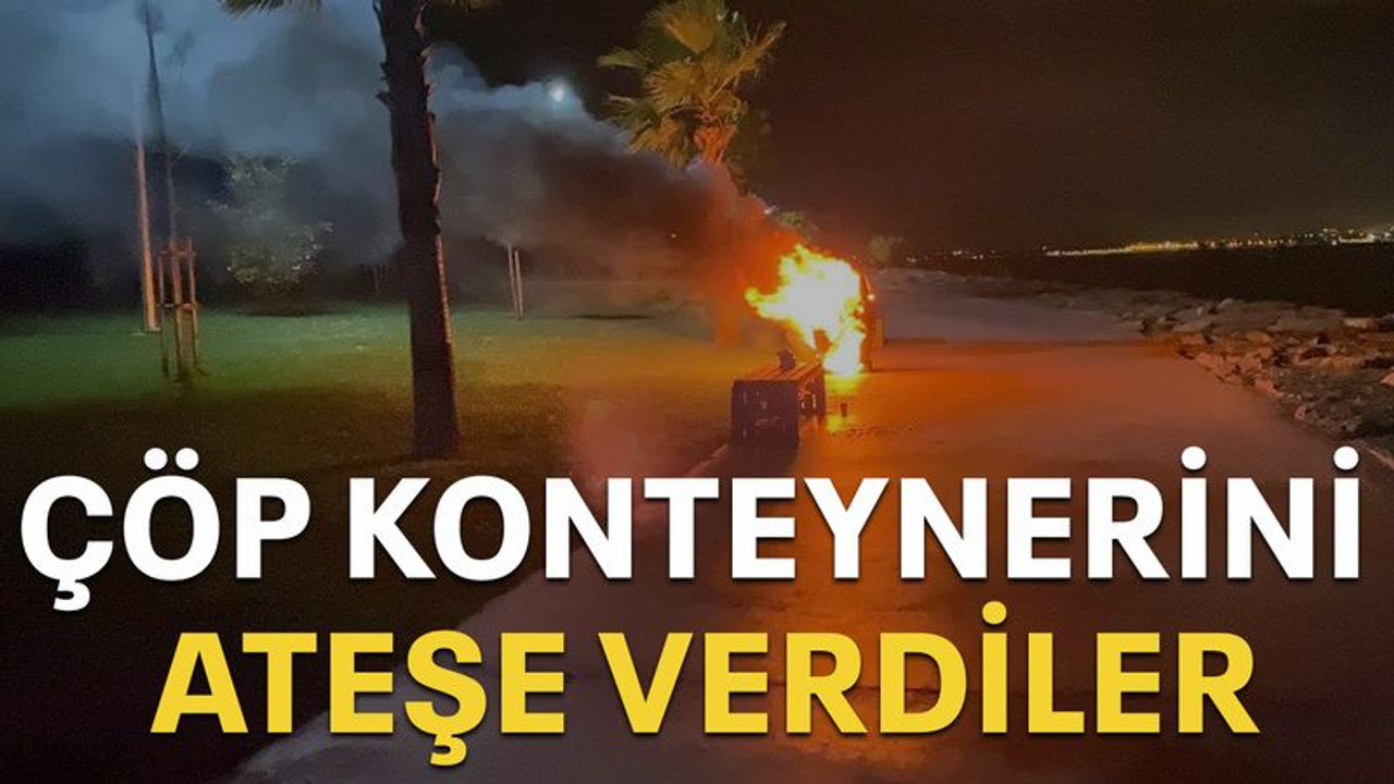 Çöp konteynerini ateşe verdiler!
