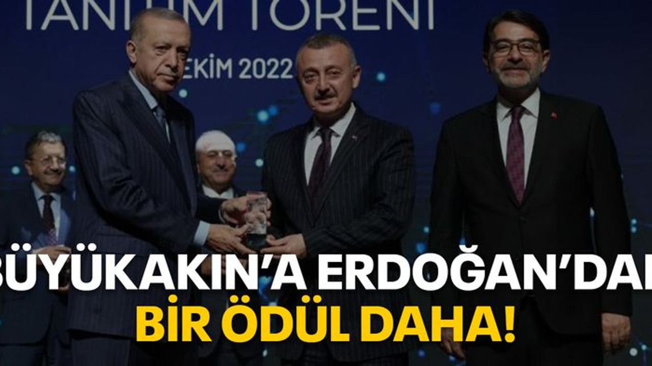 Büyükakın'a Erdoğan'dan bir ödül daha!