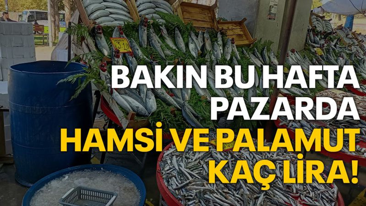 Bakın bu hafta pazarda hamsi ve palamut kaç lira!