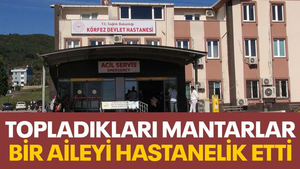 Kocaeli'de bir aile mantardan zehirlendi