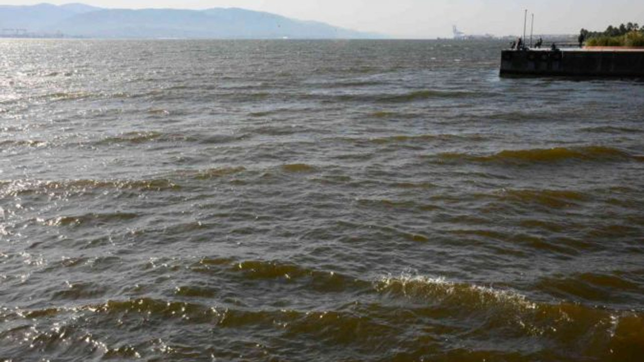 İzmit Körfezi’nde renk değişikliği