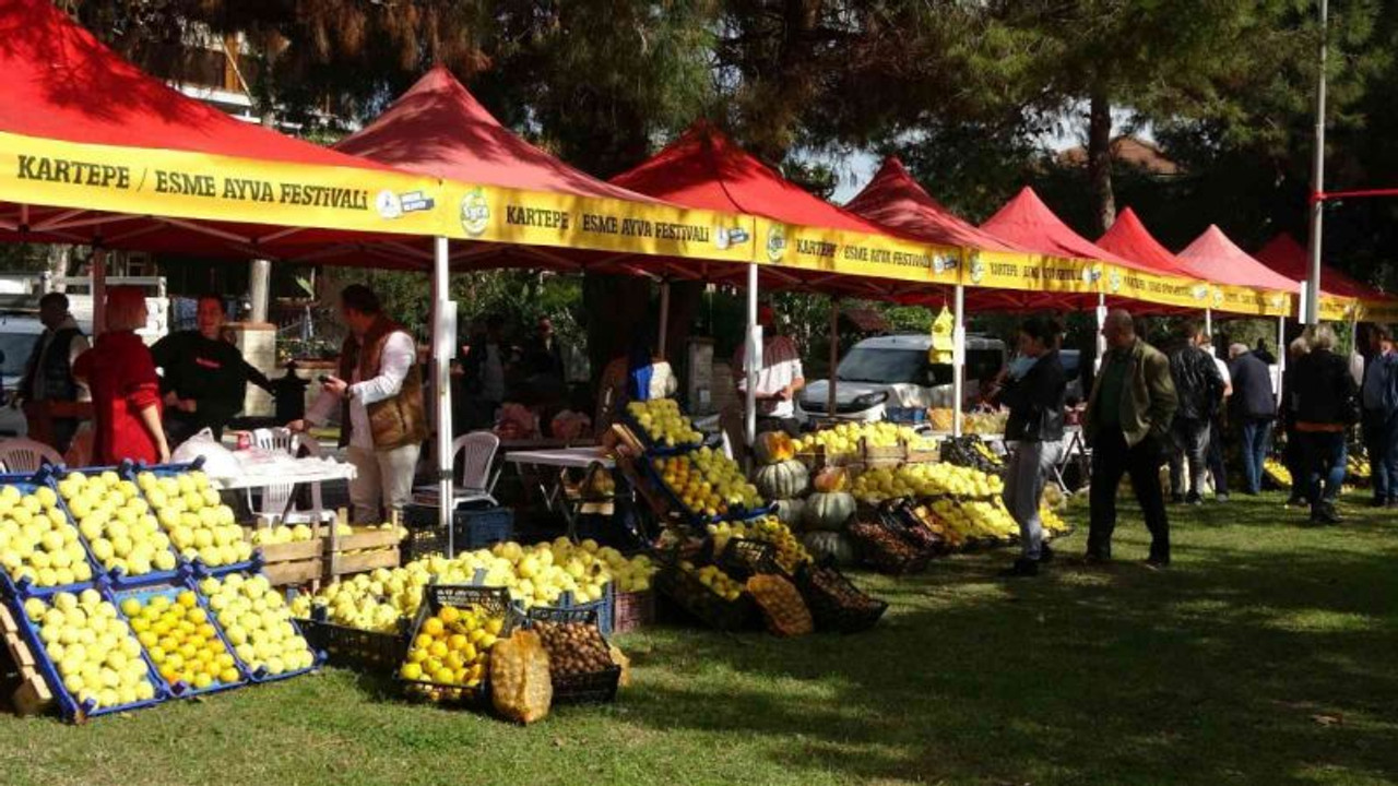 Mankenler değil, ayvalar yarıştı