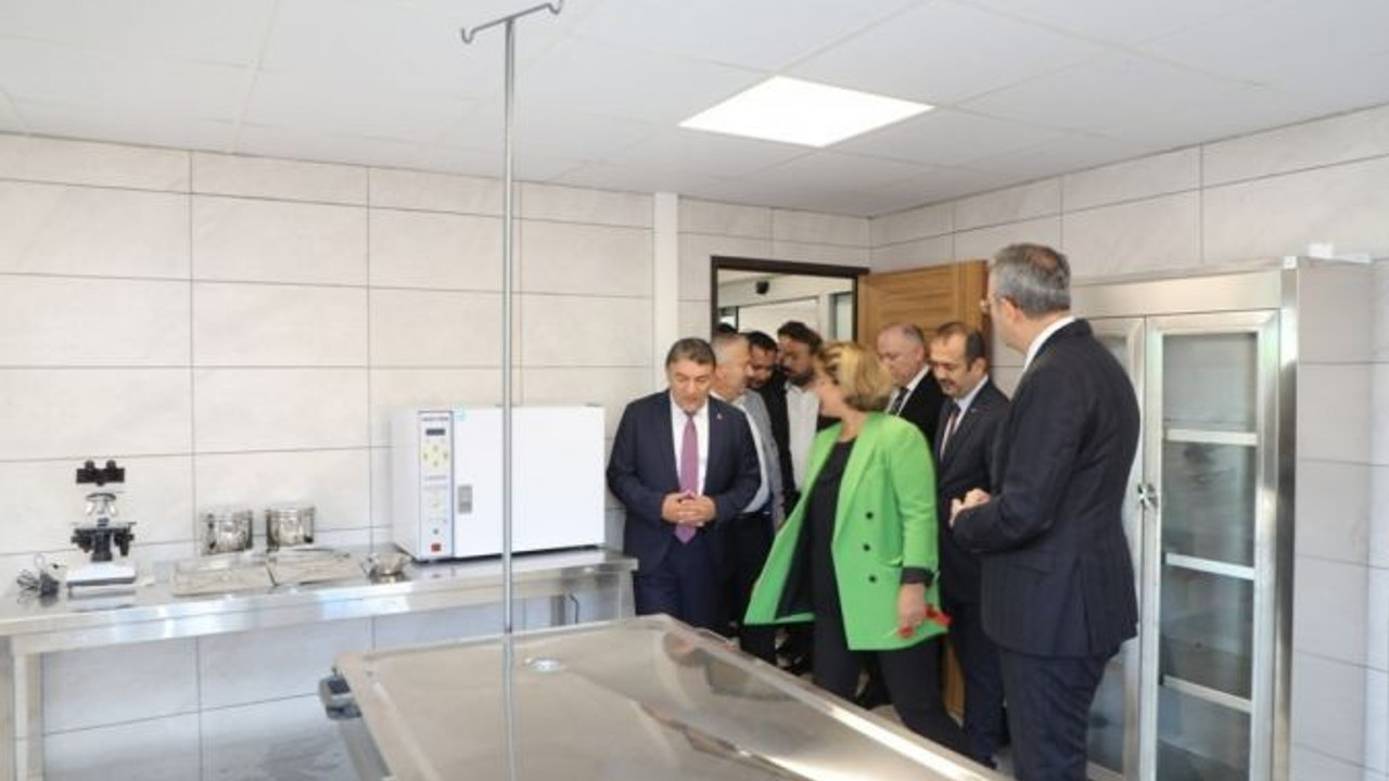 Sokak hayvanlarına 5 yıldızlı tedavi merkezi!