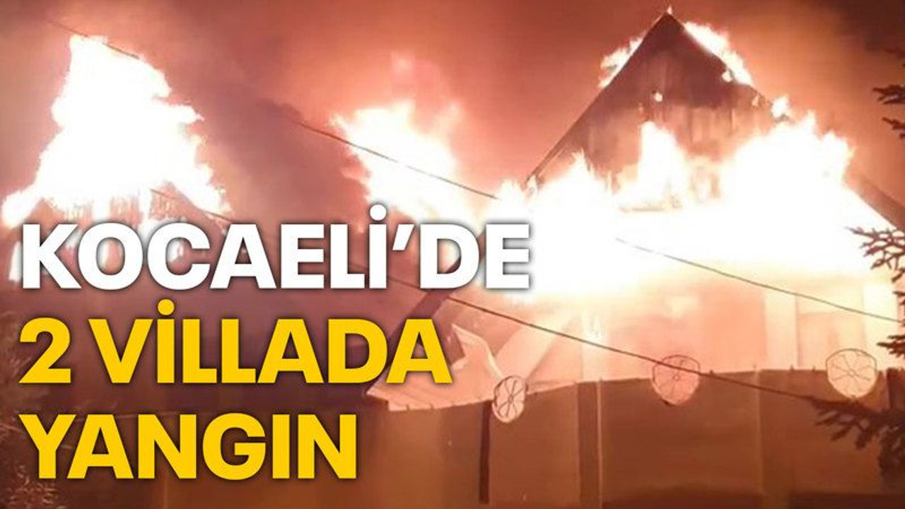 Kocaeli'de 2 villada yangın