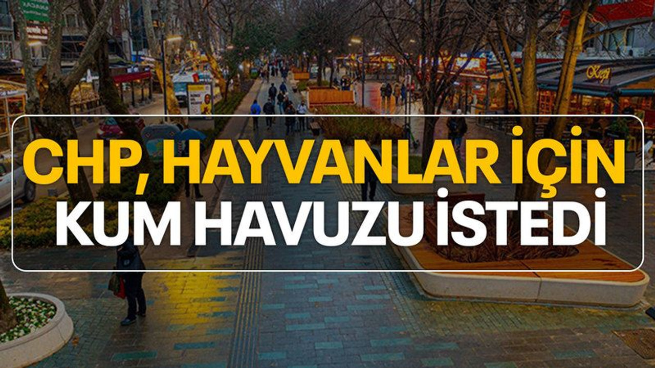 CHP'den Cumhuriyet Bulvarı'na hayvanlar için kum havuzu talebi