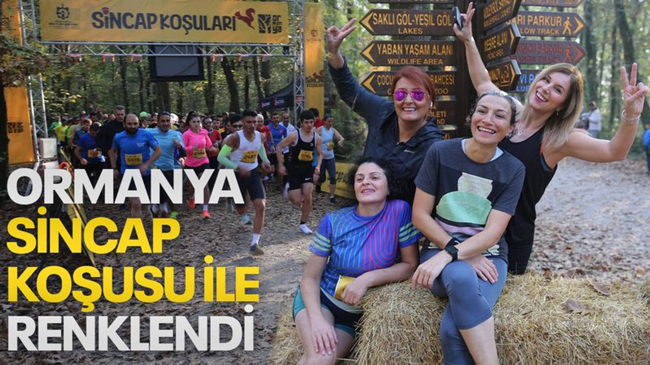 Sincap Koşuları Ormanya'da yapıldı