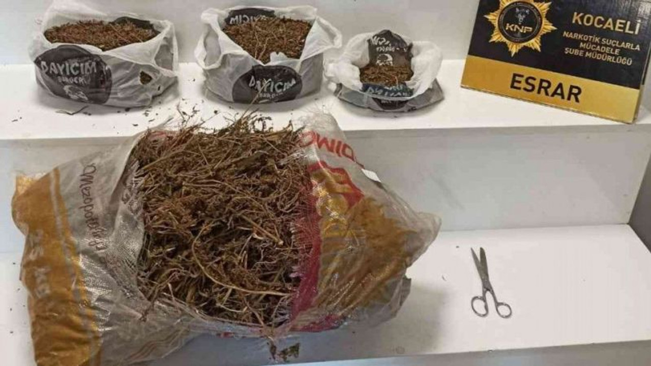 İzmit’te narkotik operasyonunda 3 kilo esrar ele geçirildi