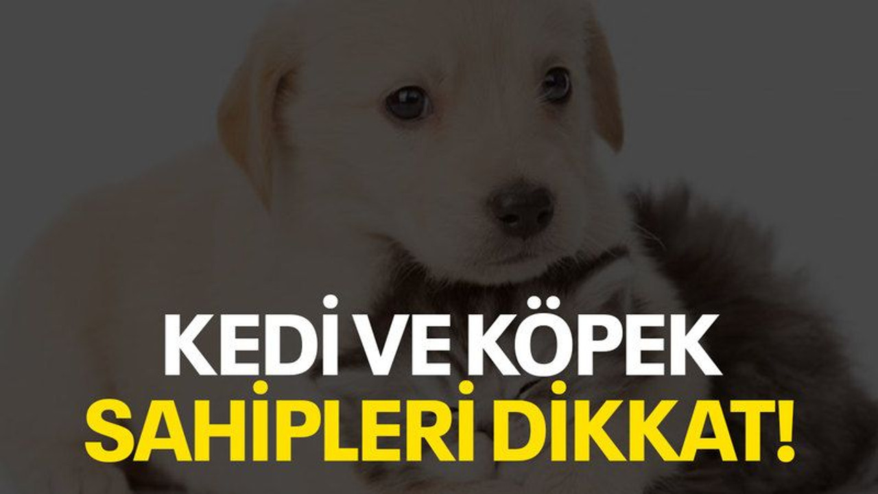 Kedi ve köpek sahipleri dikkat!