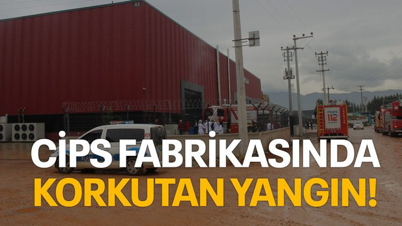 Cips fabrikasında korkutan yangın!