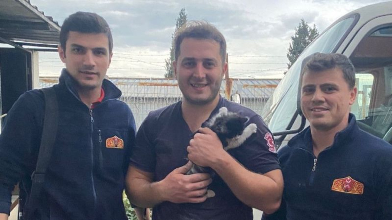 Havalandırma boşluğuna sıkışan yavru kediyi itfaiye kurtardı