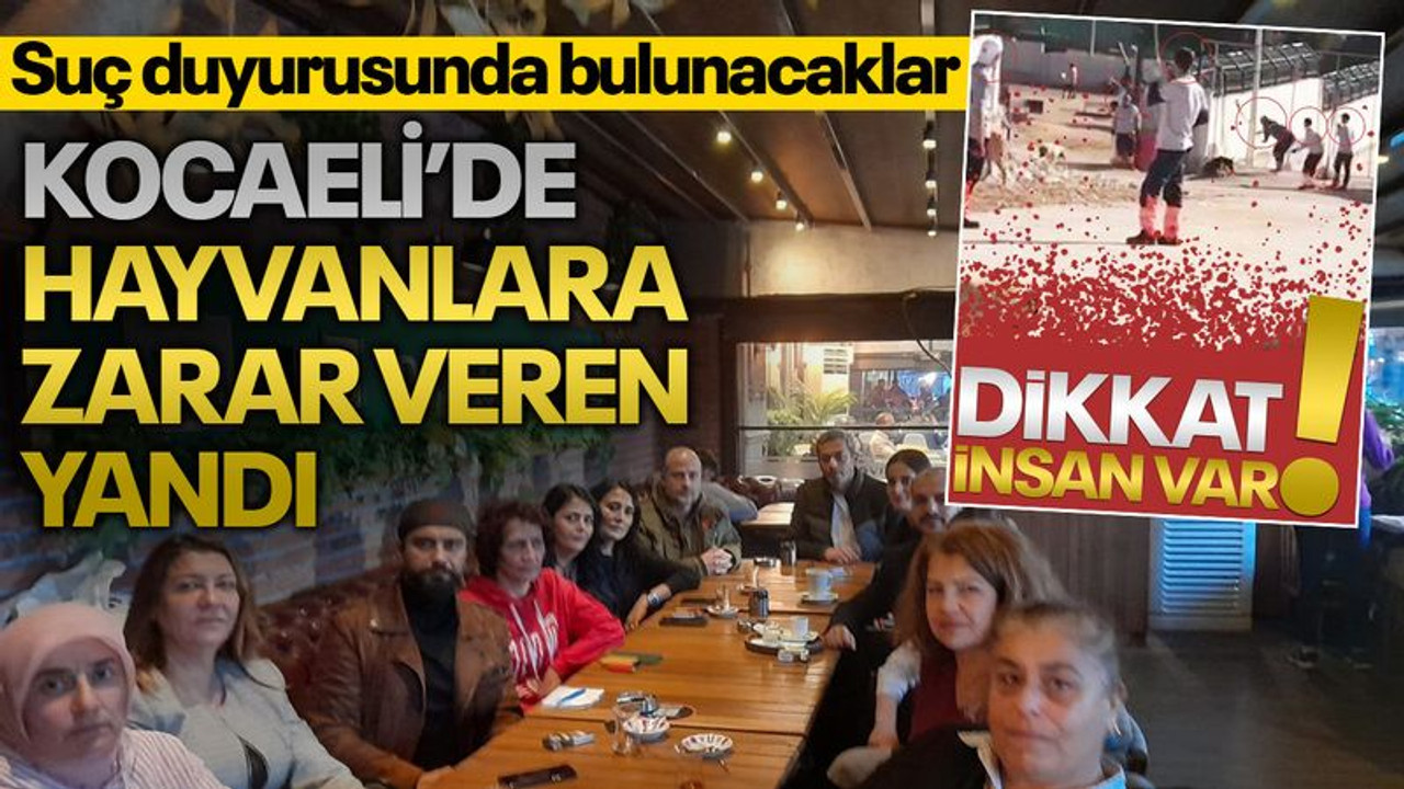 Kocaeli’de hayvanlara zarar veren yandı... Yarın, suç duyurusunda bulunacaklar